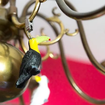 Le Clos D'azel 3* Flexbourg