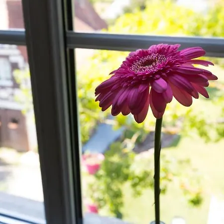 Le Clos D'azel Nocleg ze śniadaniem Flexbourg